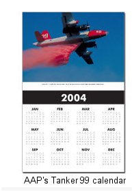 2004 AAP calendar