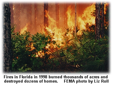 1998 Florida fire