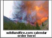 Wildland Firefighter 2005 calendar