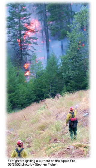 Burnout on the Apple Fire