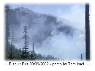 Biscuit Fire photo by Tom Iraci.