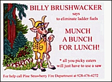 Billy Brushwacker the fire prevention mascot