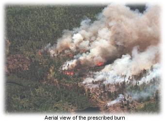 aerial view of the prescribed burn