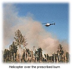 Helicopter on prescribed burn