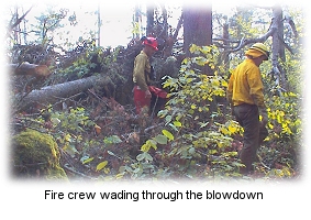 Firefighters in the blowdown