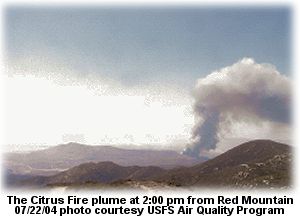 Citrus Fire plume from Red Mountain Lookout