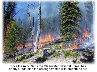 RxFire on the Clearwater