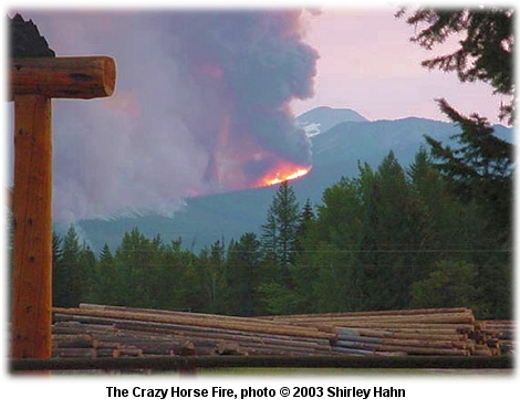 Crazy Horse Fire