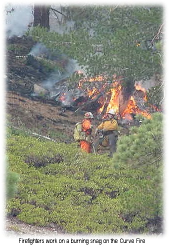 Burning snag on the curve Fire