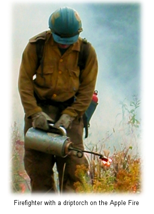 Firefighter with a drip torch