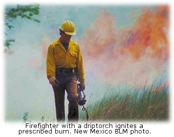 Firefighter with driptorch