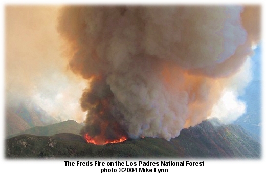 Freds Fire aerial view