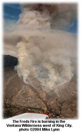 Freds Fire aerial view