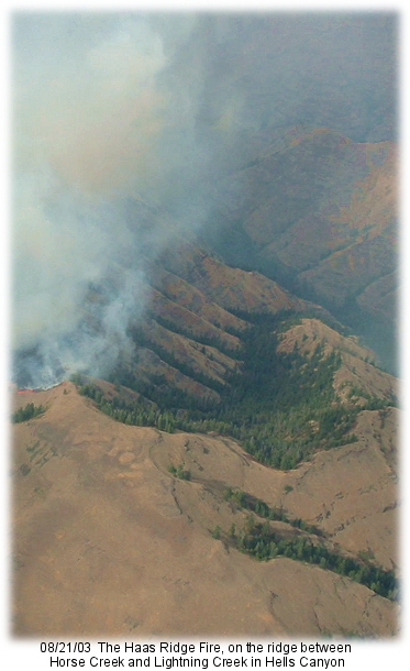 Haas Ridge Fire