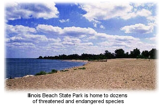 Illinois Beach