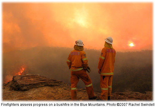 Aussie firefighters, Blue Mountains bushfire