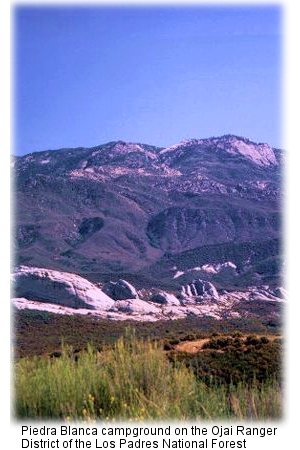 Los Padres National Forest