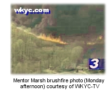 Mentor Marsh fire photo courtesy of WKYC