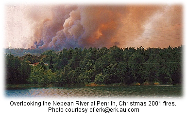 Christmas 2001 fires photo by Erk