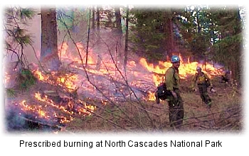 RxFire at North Cascades