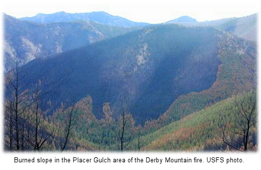 Burned slope, Placer Gulch