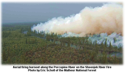 Burnout along the Porcupine River, Sheenjek Fire