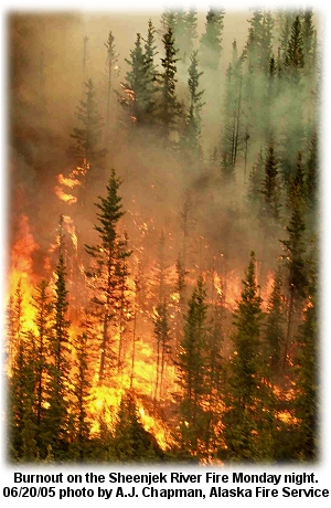 Sheenjek River Fire