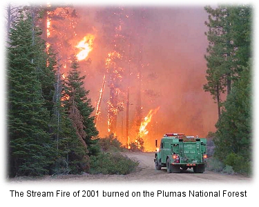 The 2001 Stream Fire on the Plumas