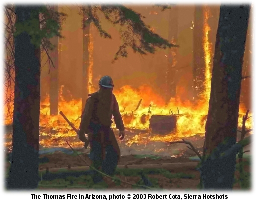 Thomas Fire photo by Robert Cota