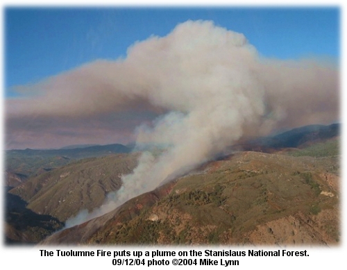 Tuolumne Fire smoke column