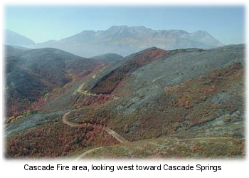 Cascade Fire on the Uinta