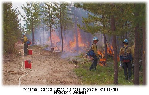 Winema hotshots on the Pot Peak Fire