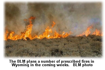 prescribed fire in Wyoming